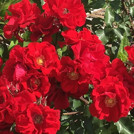 Oase Im Suedosten Leipzigs - Stilvolle & Ruhige - Parkplatz Inklusive! * Lipsia