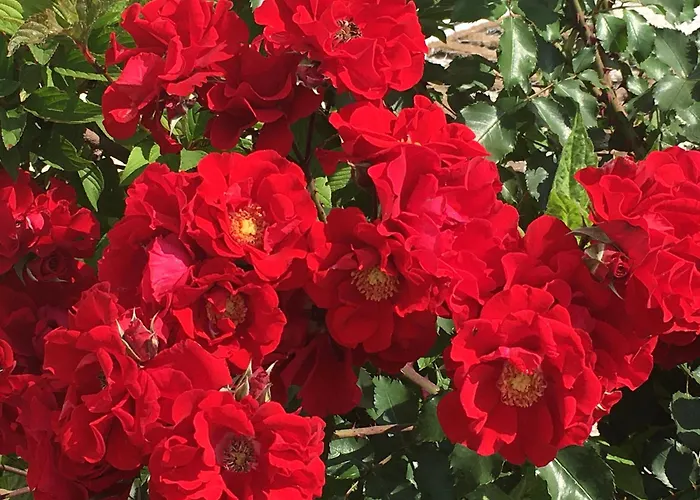 Senfbude - Stilvolle&ruhige - Parkplatz Inklusive! * Leipzig